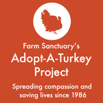 Adopt A Turkey