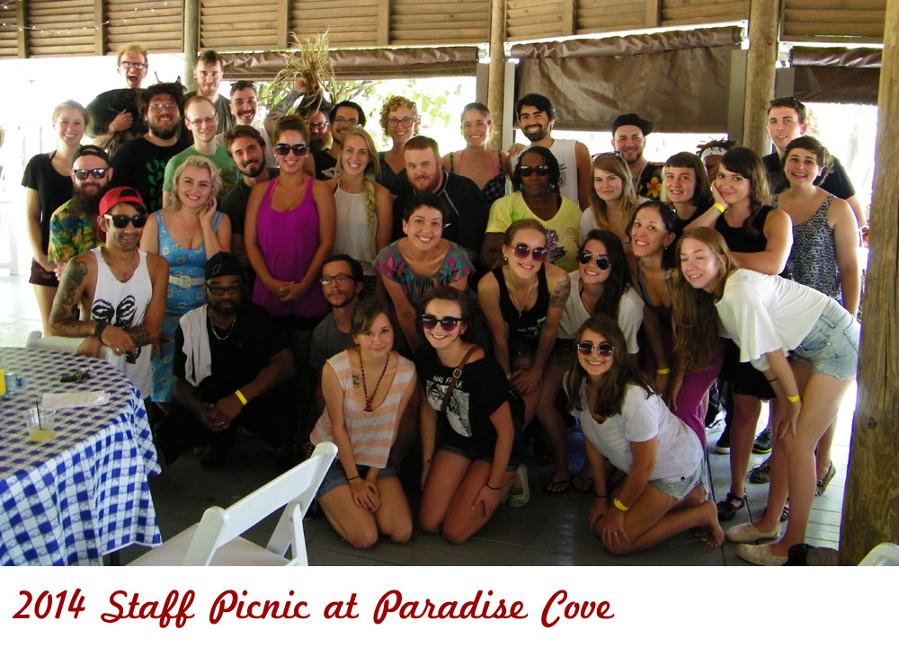 Ethos Vegan Kitchen Staff Picnic 2014