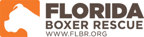 Florida Boxer Rescue